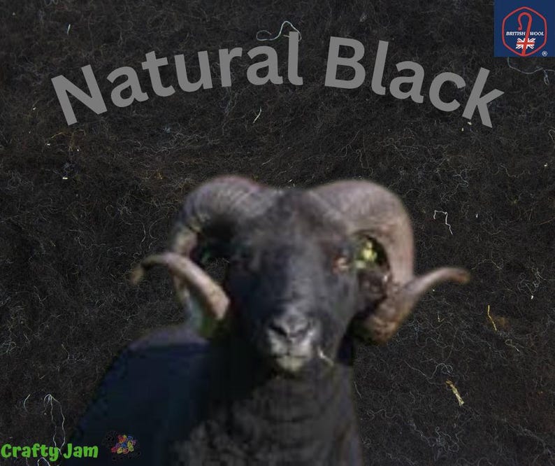 Fieltro con aguja/Velillos de lana cardada húmeda. Ideales para fieltrado 3D rápido. Elija el color y el grosor. Natural Black Undyed