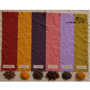 Puede incluir: Seis muestras de tela verticales en rojo, amarillo, morado oscuro, rosa, morado claro y verde oliva. Cada muestra tiene una etiqueta: Madder Root, Turmeric, Logwood, Hibiscus, Alkernet Root y Marigold. Debajo hay montones de tintes crudos.