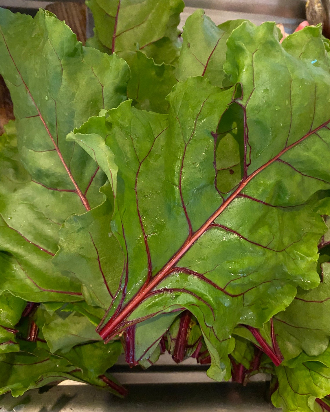 ORGANIC Dried BEET LEAVES Etsy