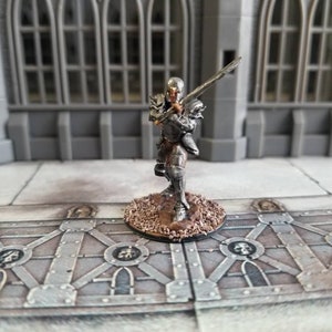 Dungeons and Dragons Human Female Fighter. Fully Painted.