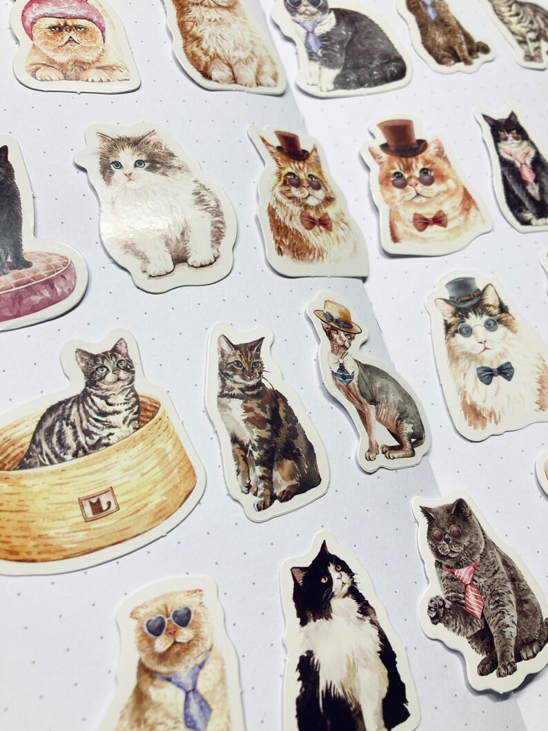 23 Cute Whimsical Cat Cats in Hats Planner Journal Stickers - Etsy