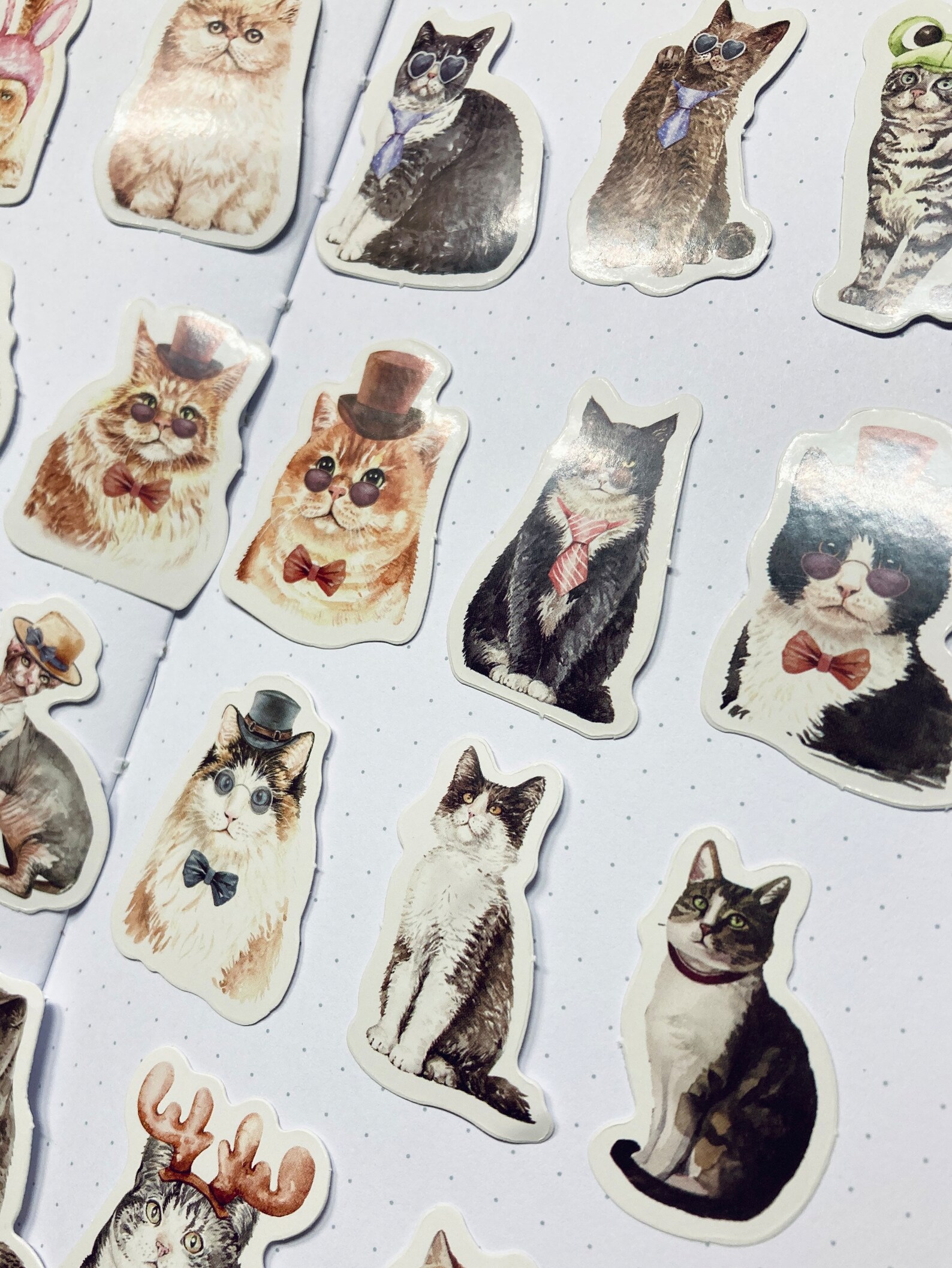 23 Cute Whimsical Cat Cats in Hats Planner Journal Stickers - Etsy