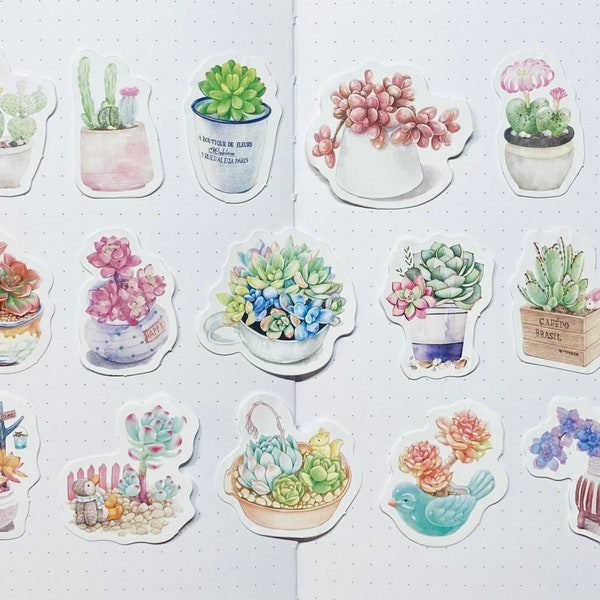 15 Succulent Terrarium Cactus Houseplant Garden Botanical Planner Journal Stickers