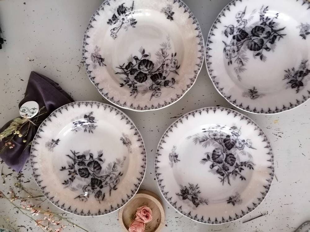 5 Assiettes Creuses en Faïence Terre de Fer U&c Sarreguemines Modèle Flore Noir/Vaisselle Française 