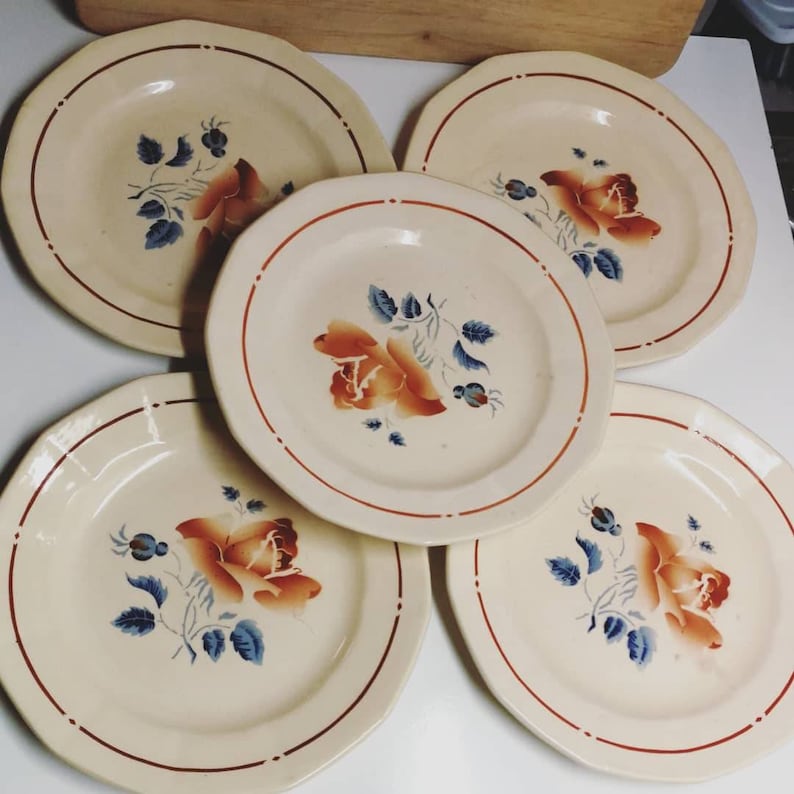 Sarreguemines 20s French earthenware plates brown and blue old rose decor vintage dishes retro countryside kitchen