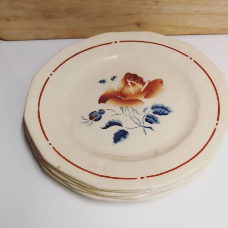 Sarreguemines 20s French earthenware plates brown and blue old rose decor vintage dishes retro countryside kitchen