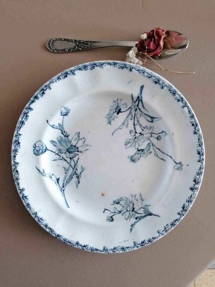 Rare Assiette à Dessert Faïence Ancienne Kg Lunéville Modèle Marguerites, Terre de Fer Fin Xixème Si