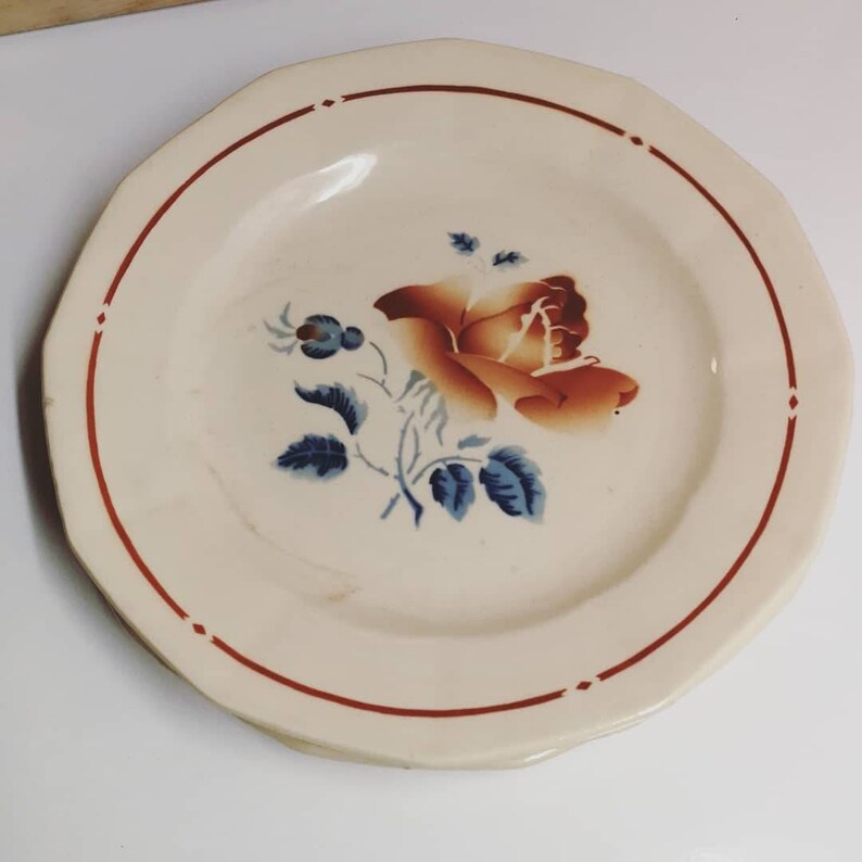 Sarreguemines 20s French earthenware plates brown and blue old rose decor vintage dishes retro countryside kitchen