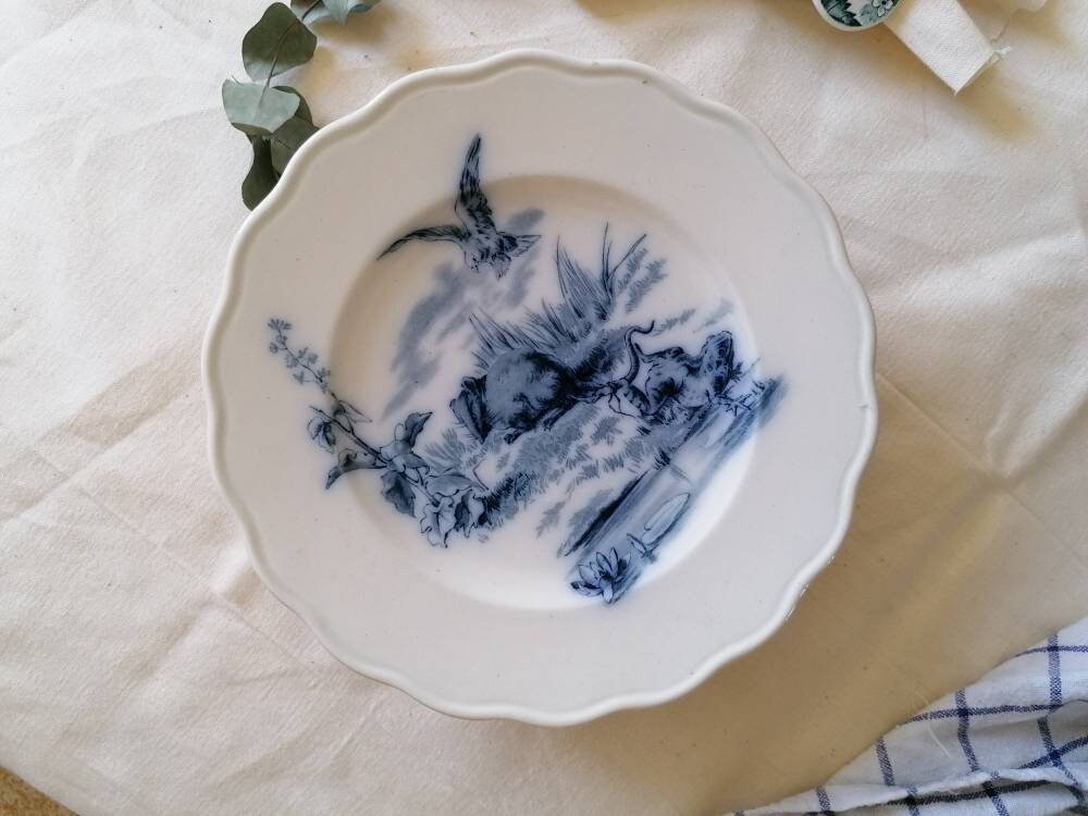 Plat Sur Pied Rare, Fables,