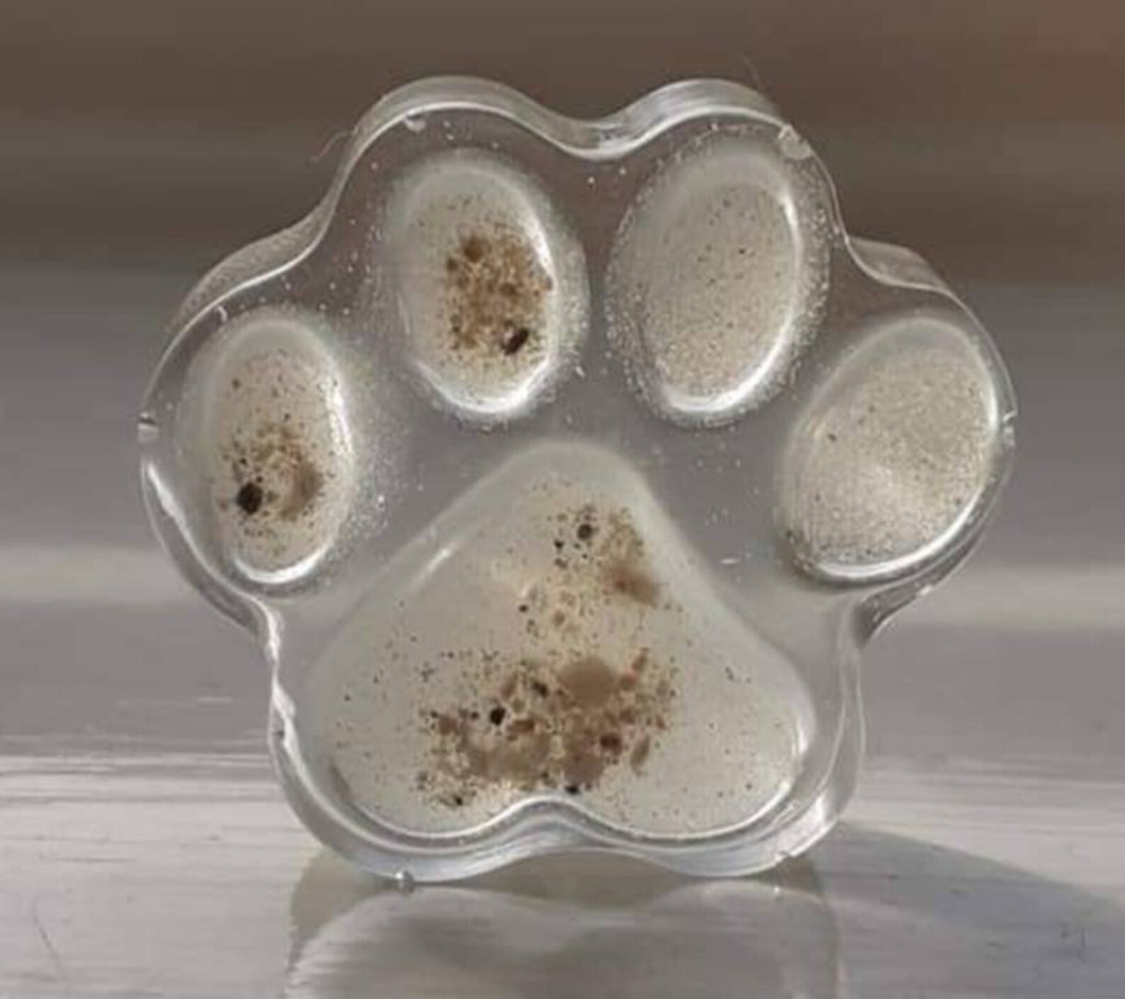 Pet memorial paw Keepsake resin pet ashes beloved pets dogs Etsy