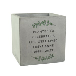 May include: A grey concrete planter with the text "Planted to Celebrate a Life Well Lived Freya Anne 1945 - 2023" and a green leafy design.