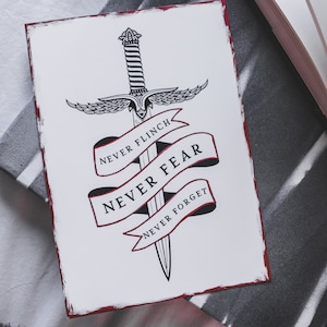 Nevernight inspiriert, bitte niemals schleudern, niemals Angst, niemals vergessen, DRUCKEN, handbemalte Details
