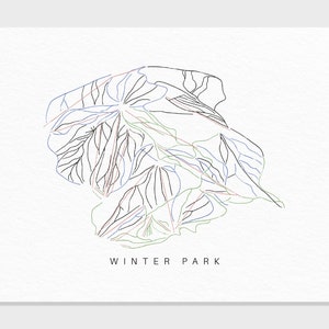 Winterpark | Colorado | Wanderkarte Geschenk für Berg Haus Ski Dekor, personalisierte Familienreise Winter Abenteuer, minimalistischer Kunstdruck