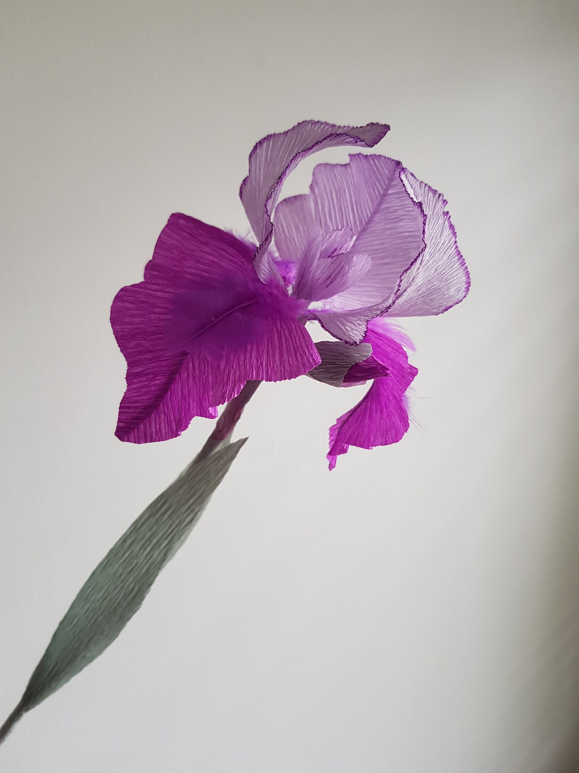 Violet/mauve Crepe Paper Iris Flowers Etsy