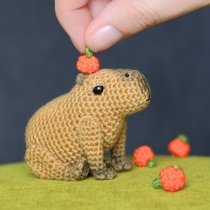 May include: A crocheted capybara with a small orange pumpkin on its head. The capybara is sitting on a green surface with several other small orange pumpkins around it.