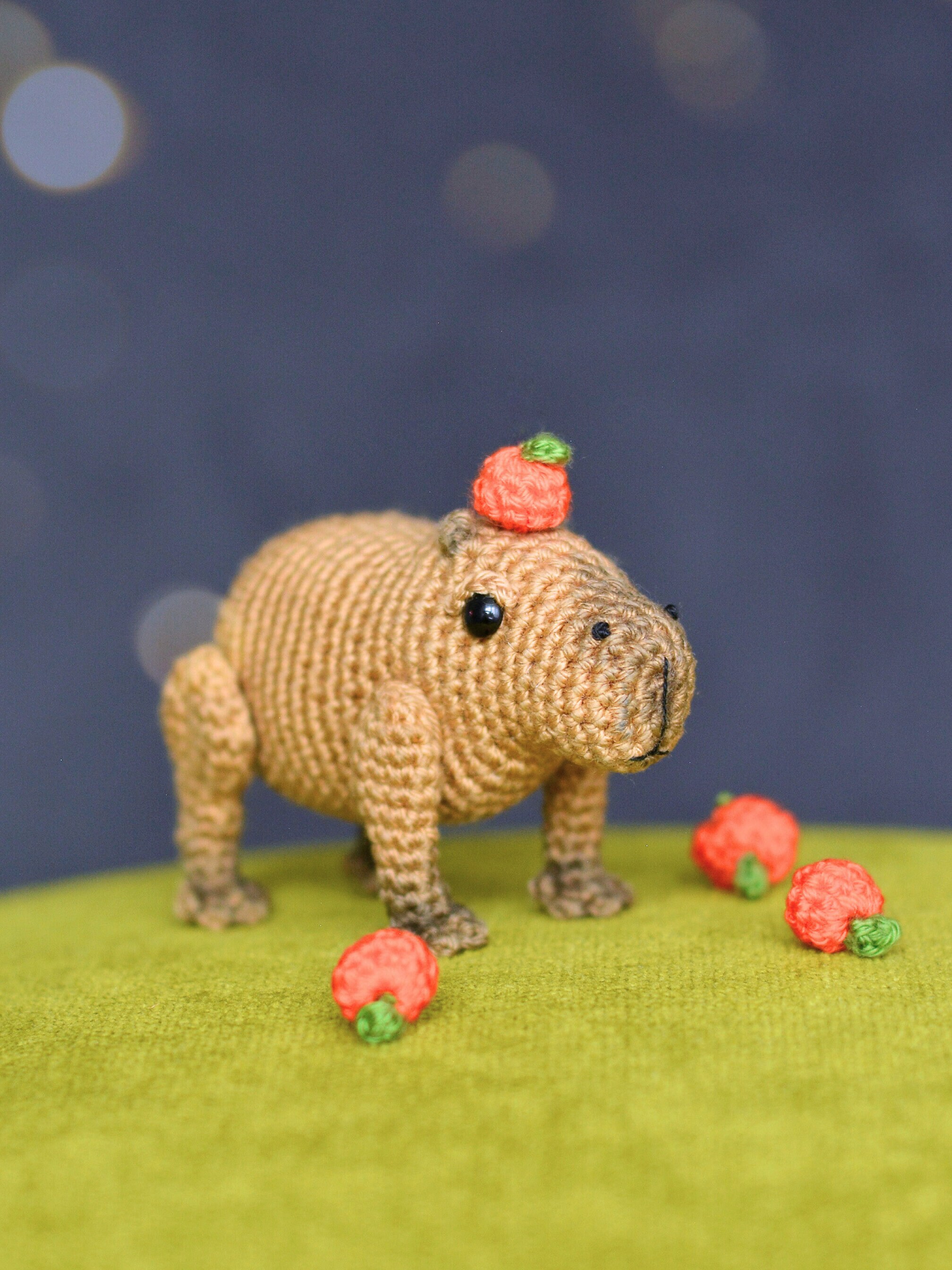  YAMAXIN 3PCS Animal Crochet kit for Beginners, Capybara Giraffe  Koala Crochet Starter Kits DIY Craft Gift for Complete Adult and Kid  Crochet Stuffed Kit with Step-by-Step Video Tutori