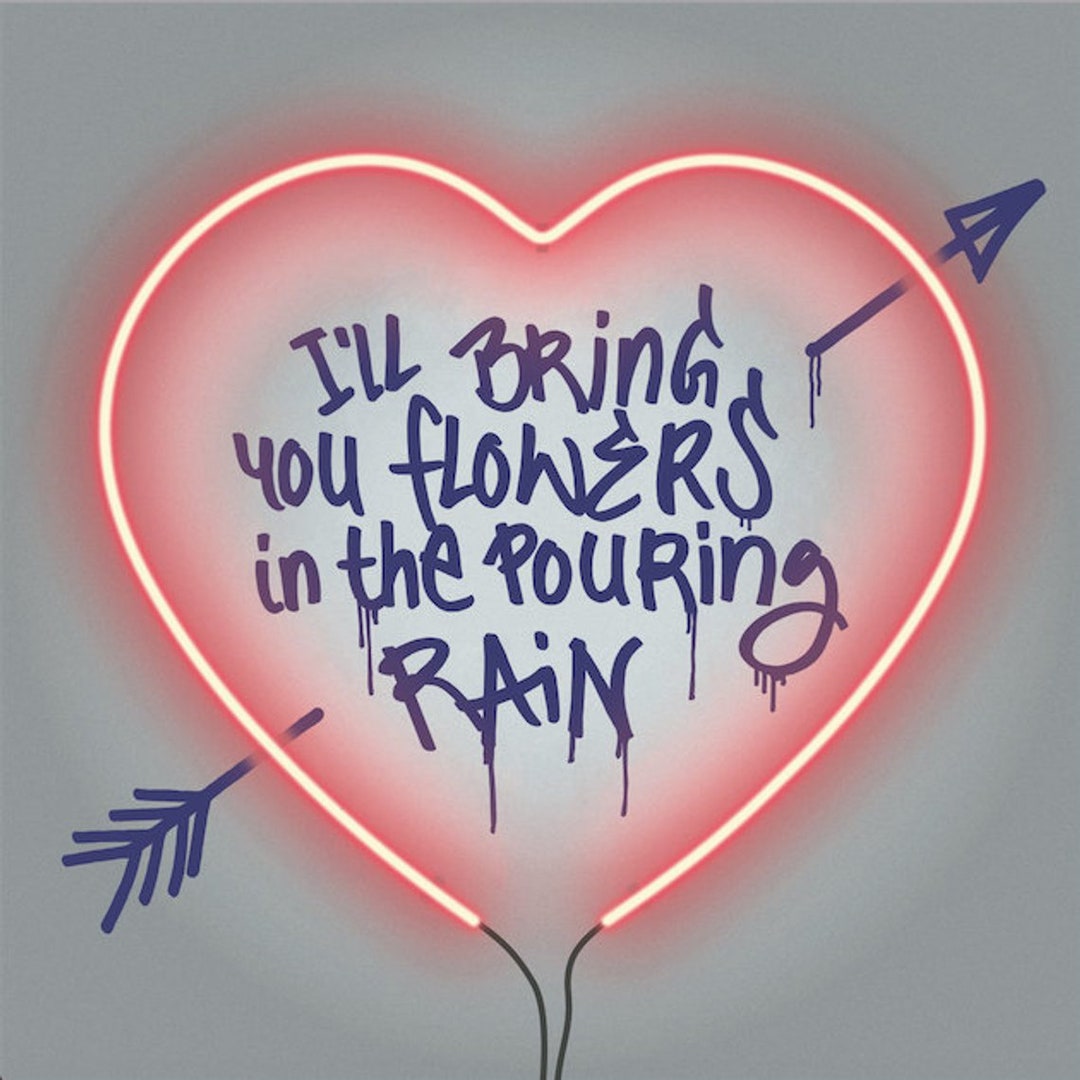 I'll Bring You Flowers in the Pouring Rain NEW EDITION Etsy