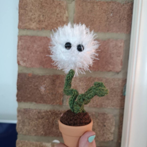 Dandy the dandelion , dandelion wish