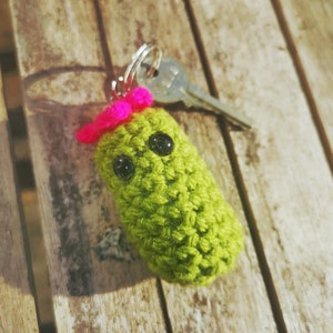 Beginners Crochet Cactus keyring Digital pattern download and video tutorial only image 1