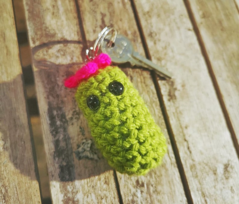 Beginners Crochet Cactus keyring Digital pattern download and video tutorial only image 1