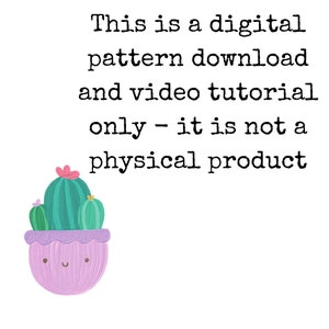 Beginners Crochet Cactus keyring Digital pattern download and video tutorial only image 2