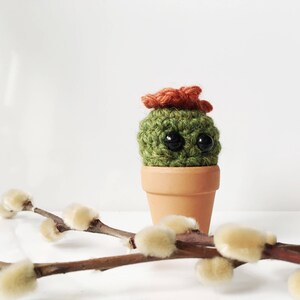 Tiny the Miniature crochet cactus, small gift, valentine gift, micro cactus image 2