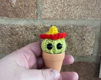 Micro cactus sombrero guy in a terracotta pot