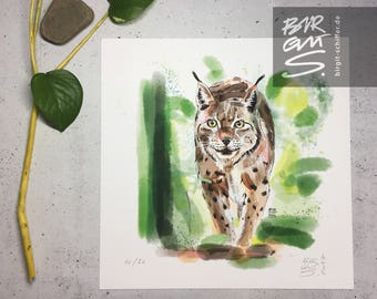 Lynx – wildcat on velvet paws