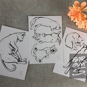 Katzen Zeichnungen – Limitierte Art Cards