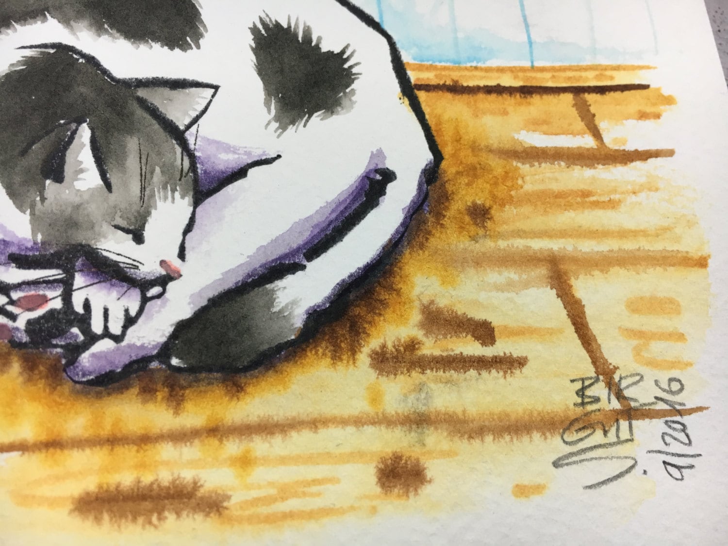 Bild Schlafende Katze: A Comprehensive Guide to the Value and Urgency of Drawing