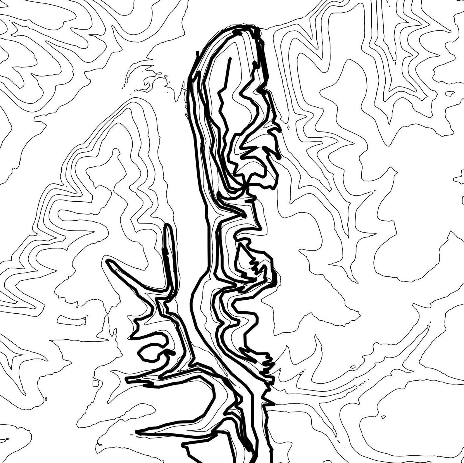 Coler Trails Topographic Map Printable Mountain Biking Map | Etsy