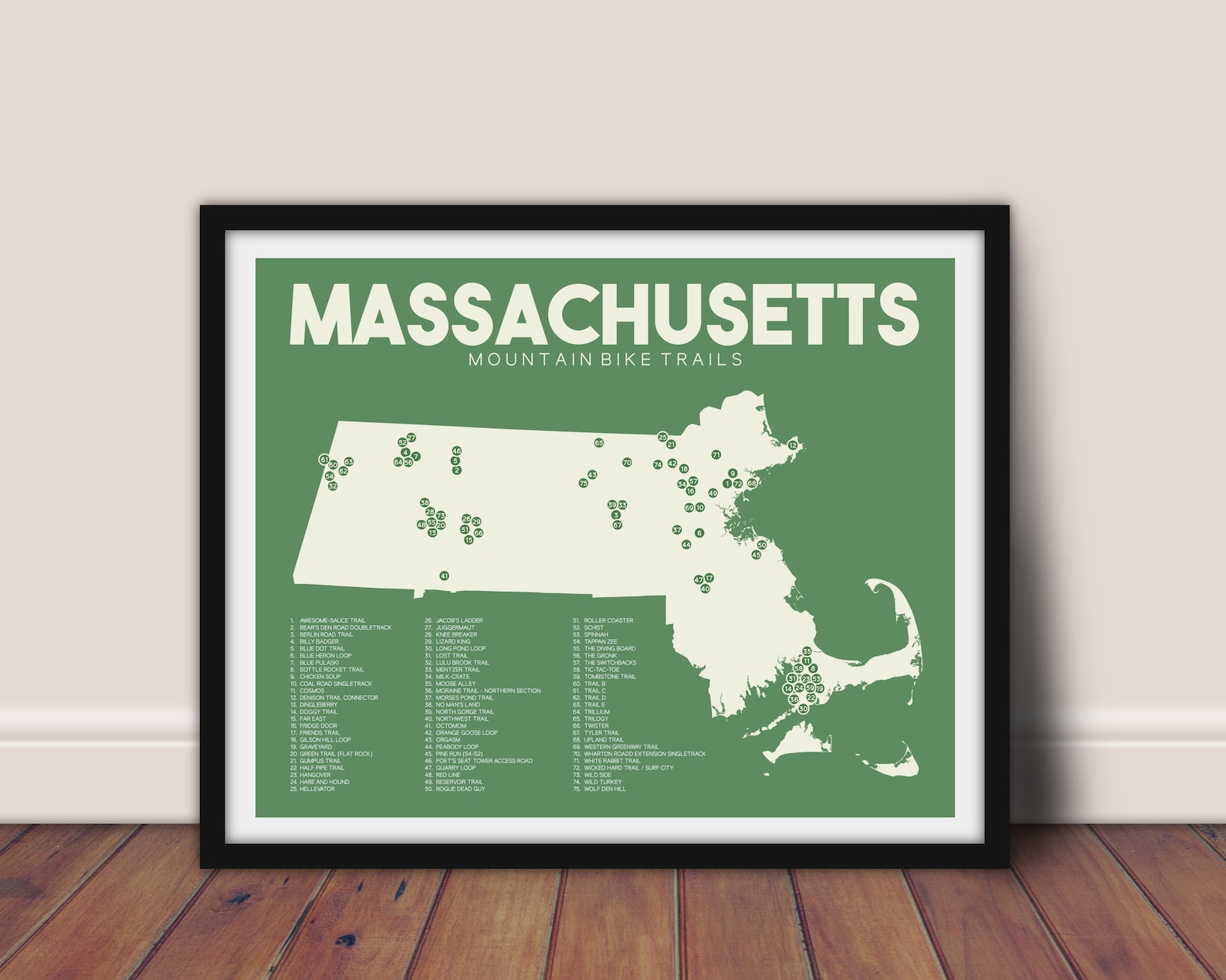 Massachusetts Mountain Bike Trails - Il 1588xN.2875072131 T9hk