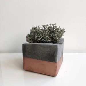 May include: A gray and terracotta concrete planter with a triangular shape. The planter is filled with dried green moss.