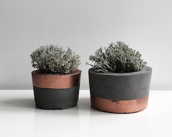 Set 2 Concrete Planters Rose gold Copper Concrete Bowl Concrete Succulent Planter, Gray Pot Modern Planter Cement