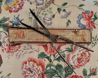 French Antique Marcel Curling Irons With Box - Probably from 1905 - 1910