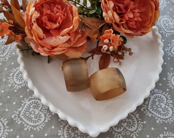 Pair of Horn Napkin Rings