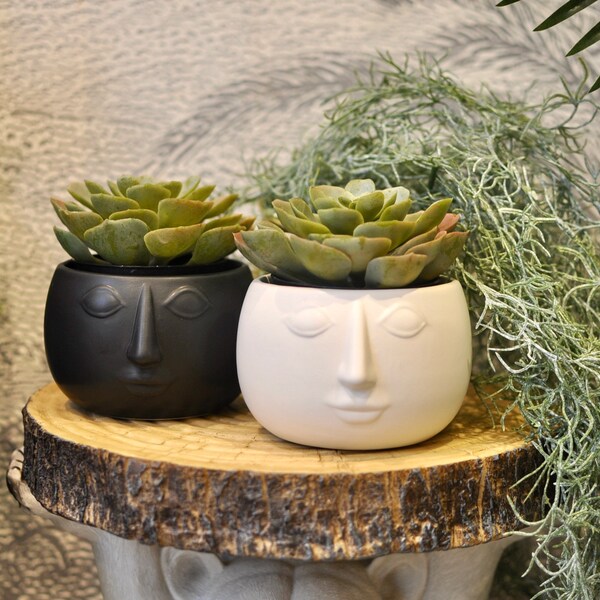Small Pagan Man Planter, Eclectic Decor, Head Planter, Eclectic Vase, Quirky Home Decor, Indoor Plant Pots