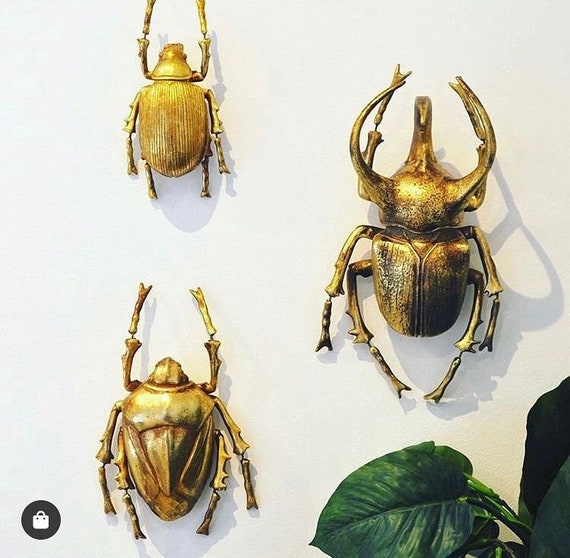 Buy Quirky Large Gold Beetle Wall Decor Gallery Wall Decor