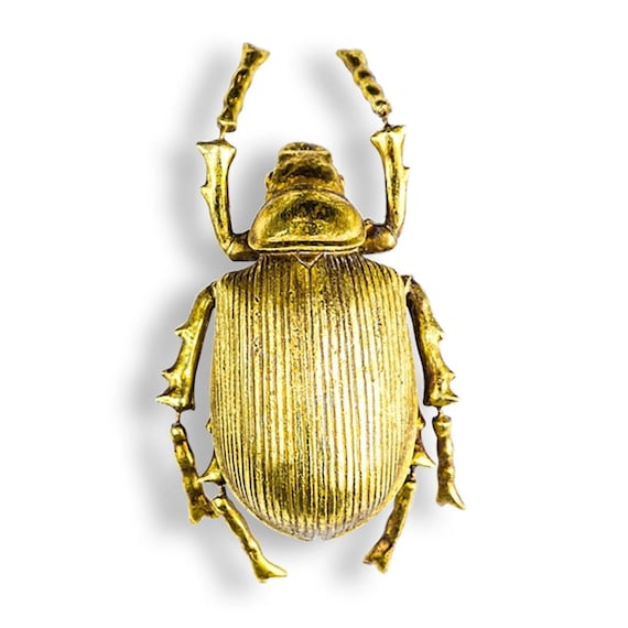 Beetle decorations cheap