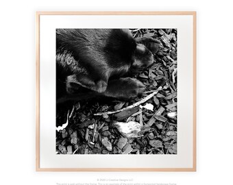Sleeping Black Lab Photography Print, Peaceful Dog Portrait, Black and White Fine Art Photo, UNFRAMED Home Decor