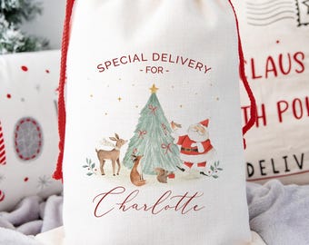 May include: A white Christmas gift bag with a red drawstring closure. The bag features a watercolor illustration of Santa Claus, a Christmas tree, and woodland animals. Text on the bag reads "Special Delivery - For - Charlotte."