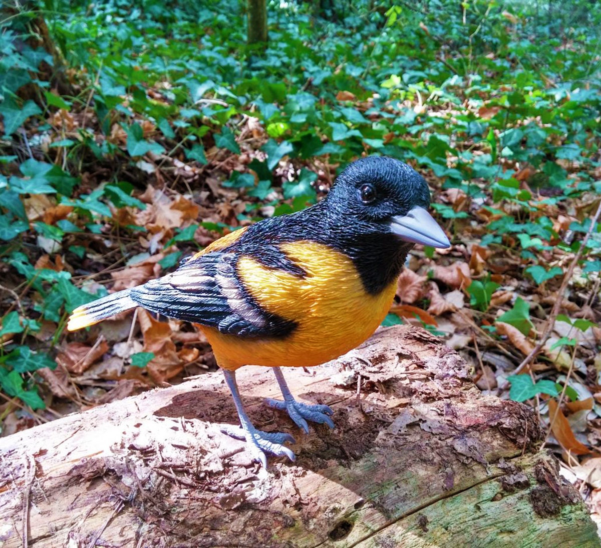 Oiseau Loriot, en Résine, Peint à La Main avec Détails Travaillés, Pour Une Ambiance Botanique et Po