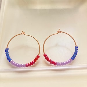 Bi Flag Earrings