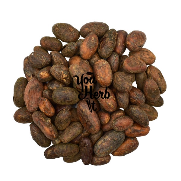 Organische rohe Criollo ganze Kakaobohnen - Theobroma Cacao