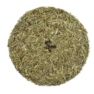 Horsetail Dried Leaf Leaves Loose Herbal Tea - Equisetum Arvense