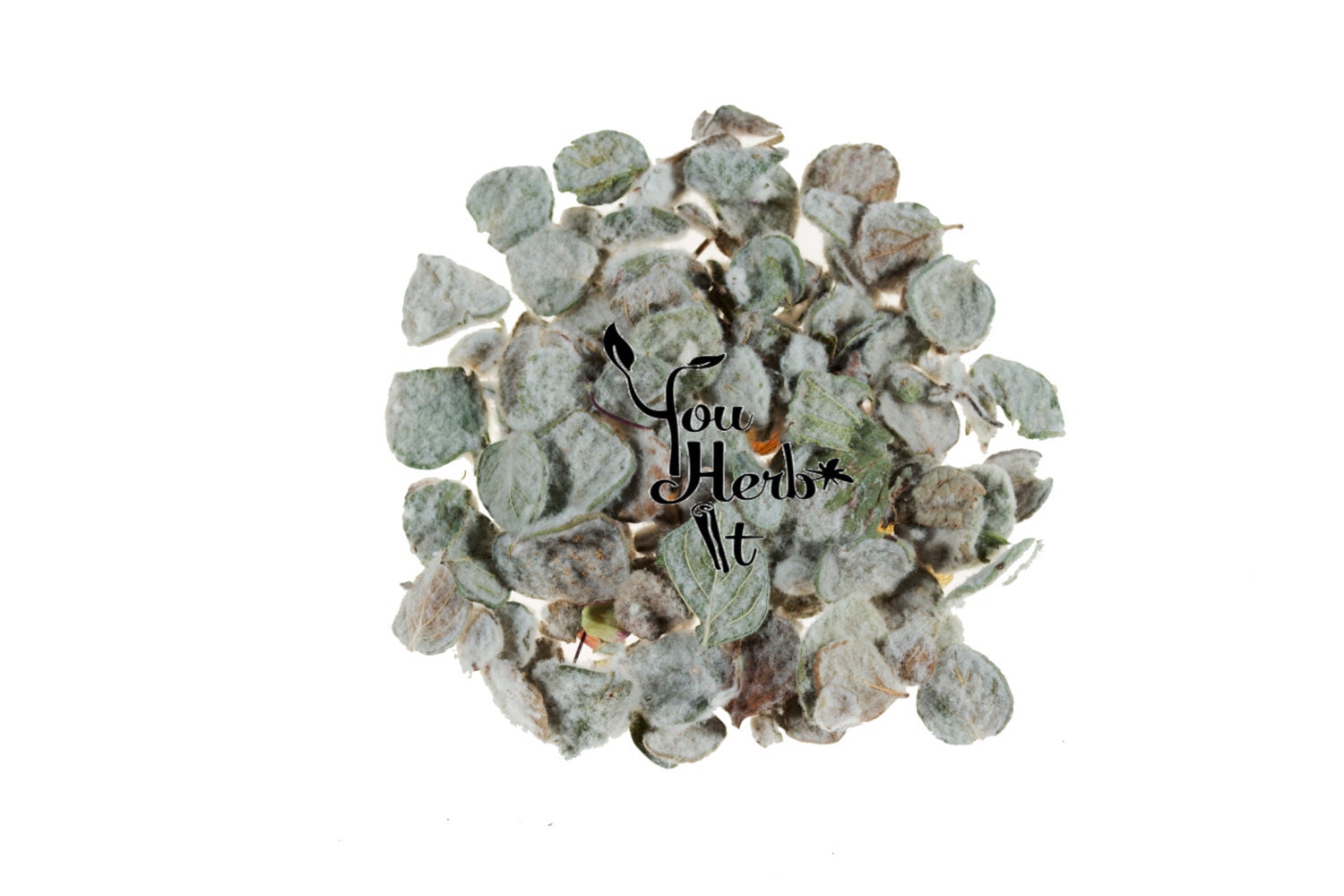 Dittany of Crete Dried Leaves - Origanum Dictamnus