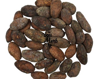 Organic Raw Criollo Whole Cacao Beans  - Theobroma Cacao