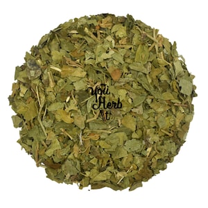 Gymnema Sylvestre Dried Leaf Leaves Herbal Tea