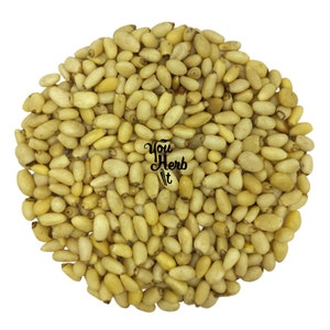 Pine Nuts Whole Seeds Natural Kernels  - Pinus Gerardiana