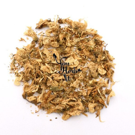 Acacia Senegal Flowerstem Extract Best Flower Wallpaper